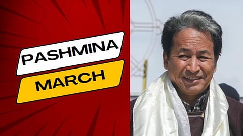 Pashmina March