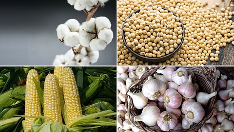 Agriculture Market