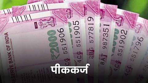 Crop Loan