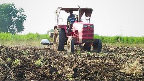 Agriculture Cultivation