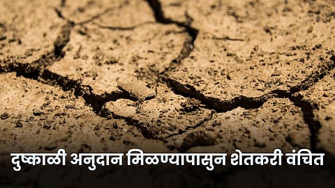 Drought Subsidy