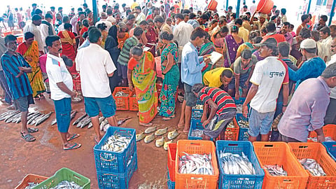Fish Market