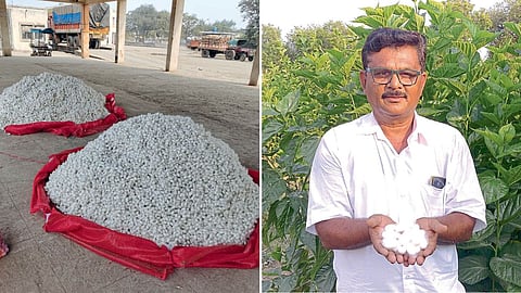 Sericulture Farming