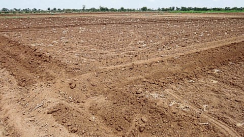 Pre Cultivation Land