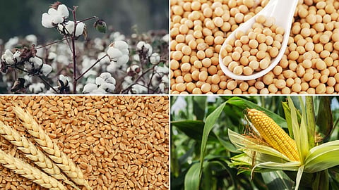Agriculture Market