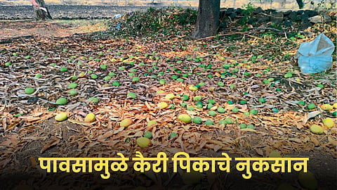 Crop Damage
