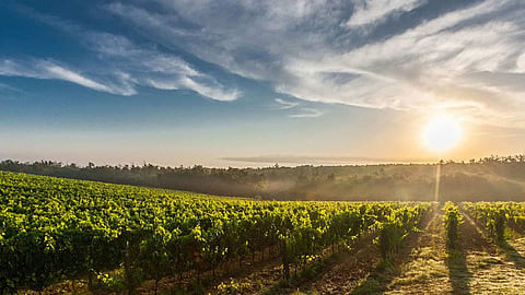 Agriculture Weather 