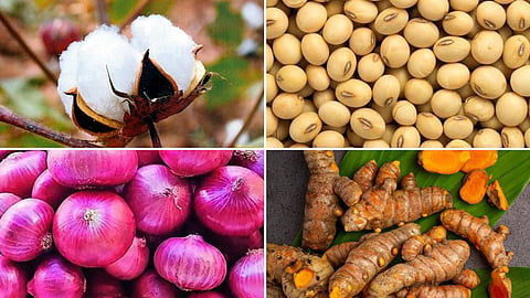 Agriculture Market