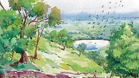 Rural Story