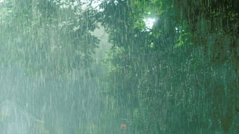 Rain Update