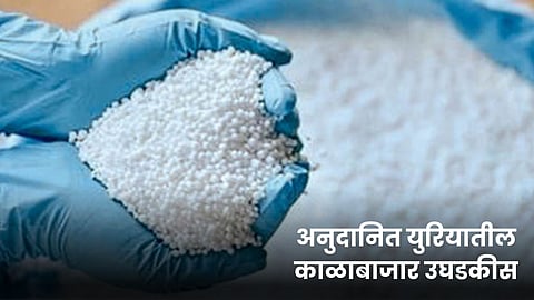 Urea Fertilizer