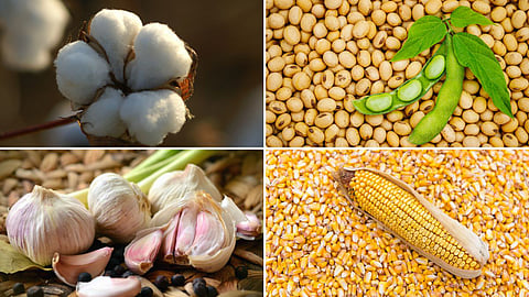 Agriculture Market