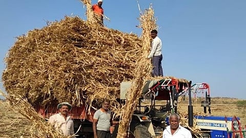 Kolhapur Farmers