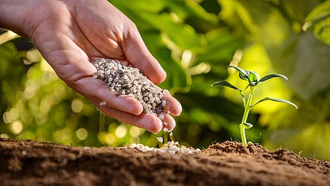 Agriculture Fertilizer 