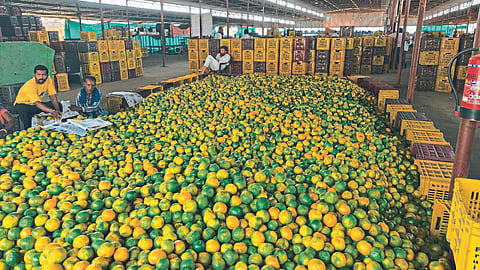 Orange Market