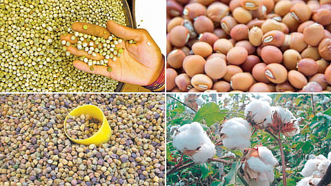 Agriculture Market