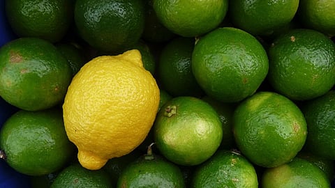 Lemon Price