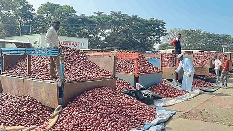 Onion Market