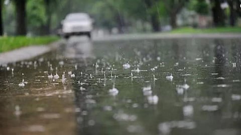 Rain Forecast