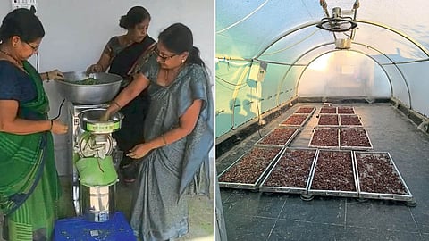 Solar Dryer 