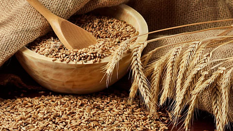 Wheat Rate 