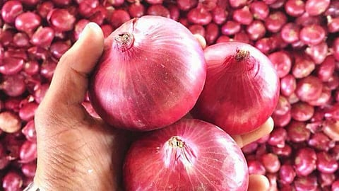 Onion Export 