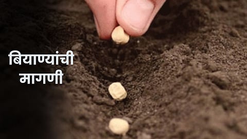 Seed Demand
