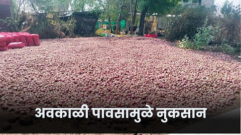 Crop Damage