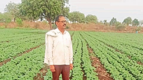 Sowing 