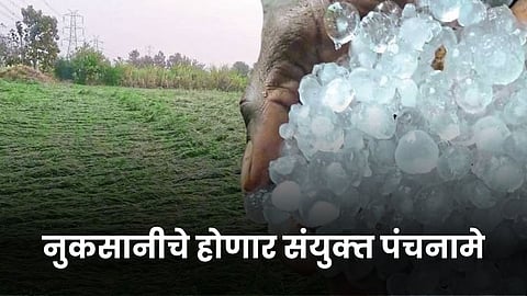 Crop Survey 