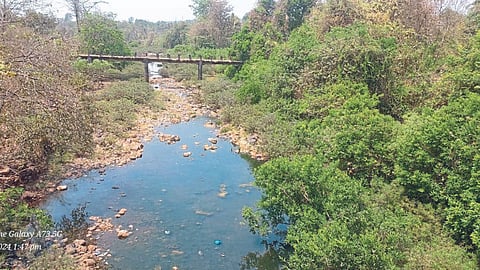 Water Scarcity 
