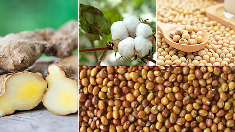 Agriculture Market 