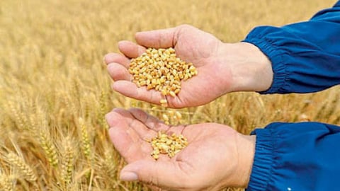 Agriculture