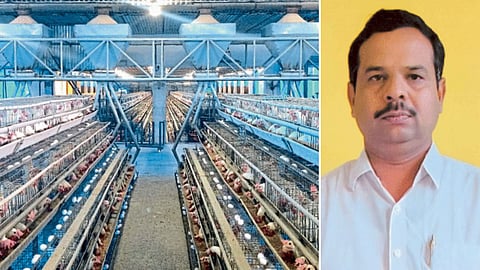 Poultry Farming