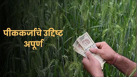 Crop Loan Update 