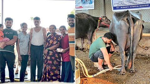 Shikhare Family Dairy Business