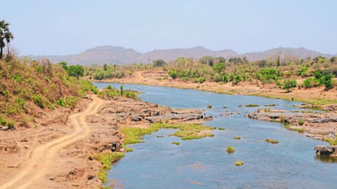 Rural Development 