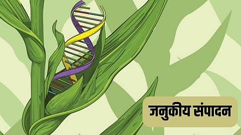 Genome Editing Technology