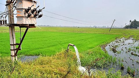 Mahavitran Agriculture Bill