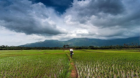 Agriculture Weather