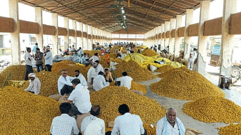 Turmeric