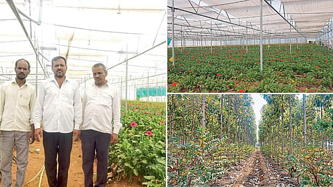 Varkad Brothers and Farm