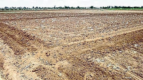 Soil Fertility 