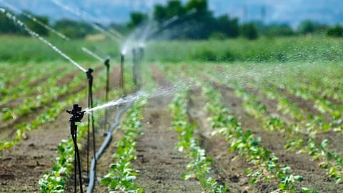 Irrigation Subsidy