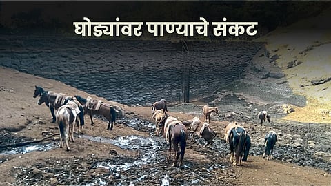 Water Issue