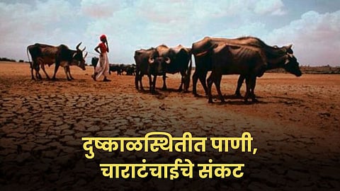 Drought Update