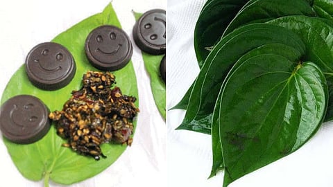 Betel Leaf 