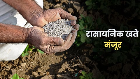Agriculture Fertilizer 