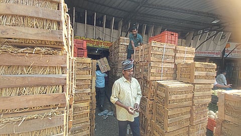 Mango Market