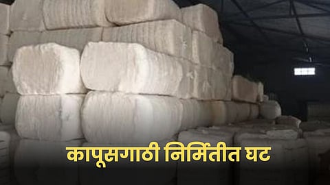 Cotton Production